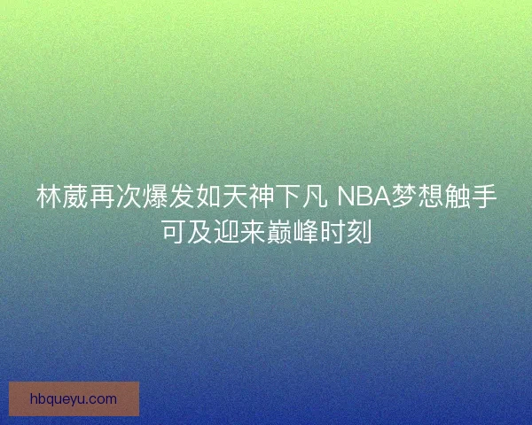 林葳再次爆发如天神下凡 NBA梦想触手可及迎来巅峰时刻